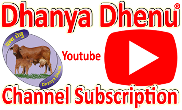 Subscribe Dhanya Dhenu Channel